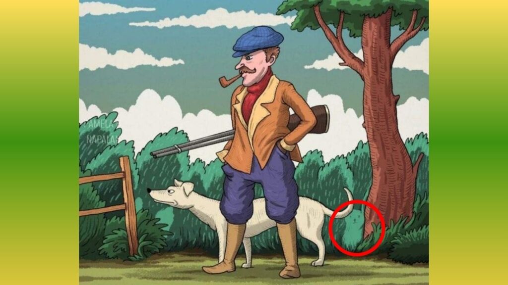 Optical Illusion